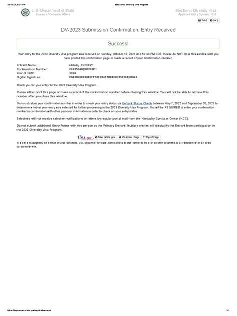 dv 2023 submission confirmation.
